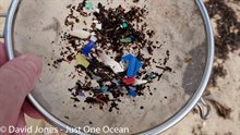 Stukjes plastic in zeef (c) Davind Jones - Just One Ocean